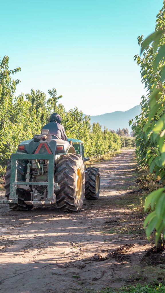 digitisation of agriculture