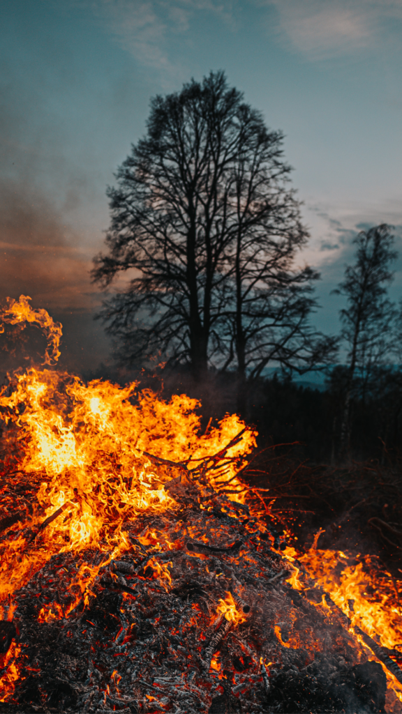Consejos para afrontar incendios forestales
