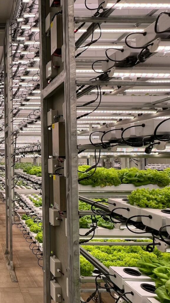 Agricultura 4.0: Transformando el Cultivo con Tecnología de Vanguardia
