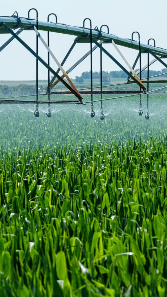 La Revolución Tecnológica en el Campo: Cómo la Tecnología Está Transformando la Agricultura.